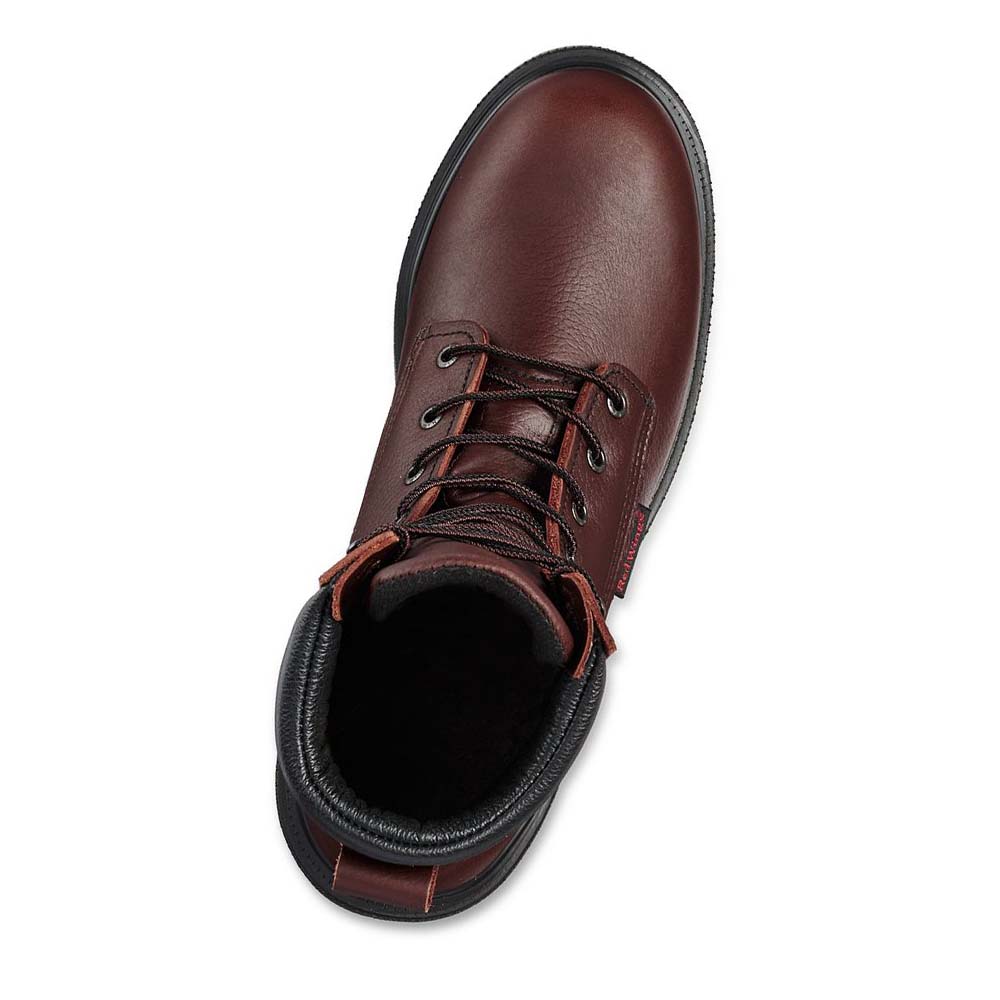 Red Wing SuperSole® 2.0 8-inch Soft Toe Men's Work Boots Burgundy | ZA 69CTV